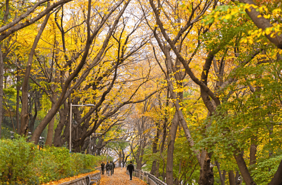韓國仁川景點｜7. 自由公園